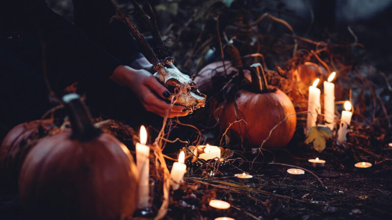 Halloween 2024 : partez en immersion dans la forêt de la Terreur, au Sherwood Parc (95)