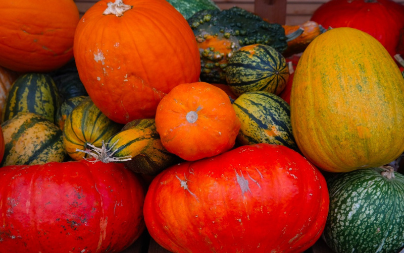 Vente solidaire de courges à prix libre chez Zone Sensible, Saint-Denis (93)