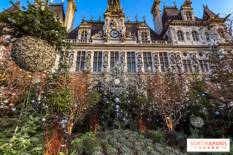 Le parvis de l’Hôtel de Ville de Paris se transforme en forêt urbaine, à quoi cela va ressembler ?