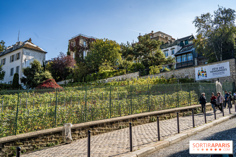 Fête des Vendanges de Montmartre 2024 : le programme à faire en famille, avec les enfants