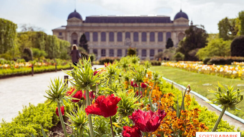 Que faire dans le 5e arrondissement de Paris ? Bonnes adresses et idées sorties du moment.