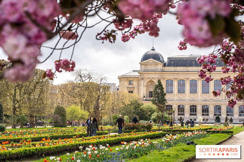 Les expositions de mars 2025 à Paris et en Île-de-France : des sorties culturelles immanquables