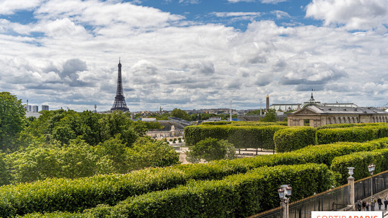 Les idées de sorties qui se terminent en janvier 2025 à Paris : dernière chance pour en profiter !