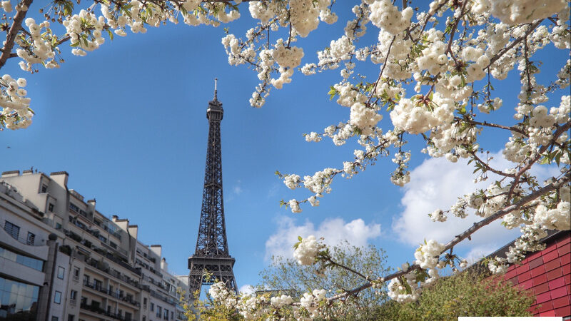 Les sorties gratuites à découvrir pour ce printemps 2025 à Paris et en Île-de-France