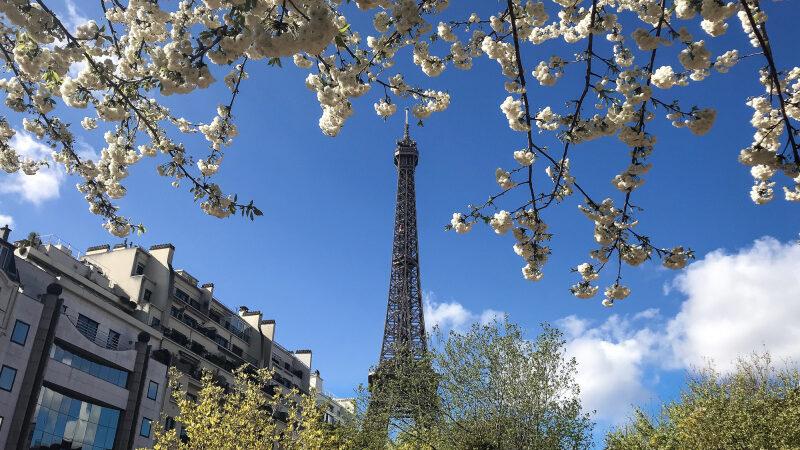 Les idées sorties qui commencent en mars 2025 à Paris & Île-de-France, les nouveautés du mois