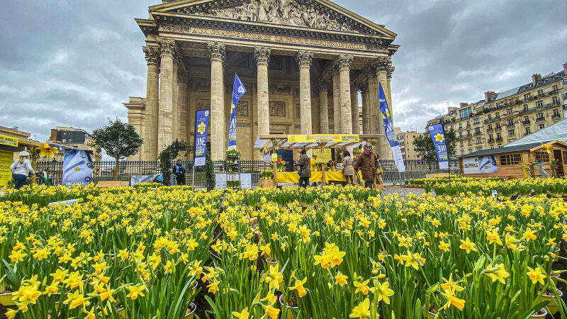 Une Jonquille contre le cancer au Panthéon, le village solidaire à découvrir au printemps 2025