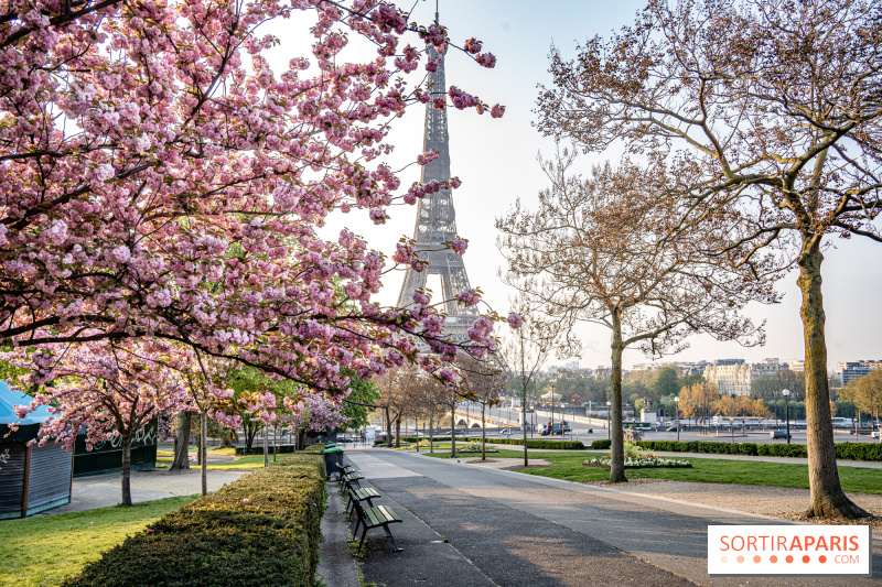 Que faire à Paris et en Ile-de-France au printemps 2025 ? Les idées sorties pour la saison