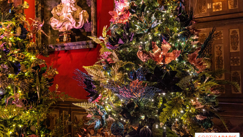 Noël et merveilles, les activités de Noël à faire en famille dans les fermes de Gally