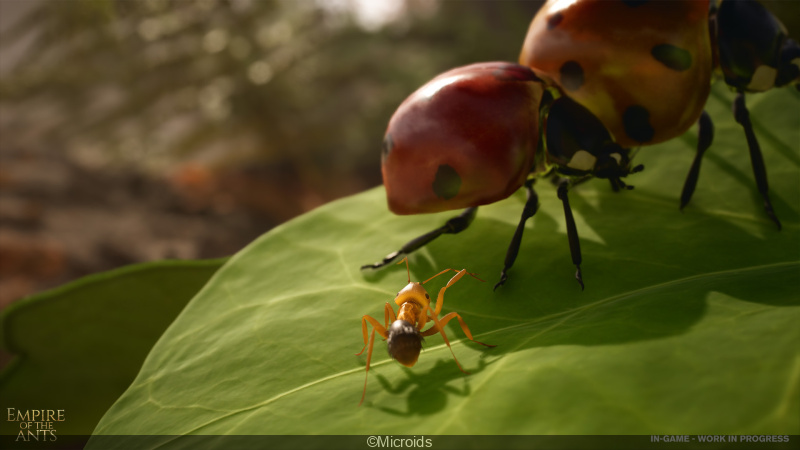 Les Fourmis : notre test du jeu inspiré du best-seller de Bernard Werber