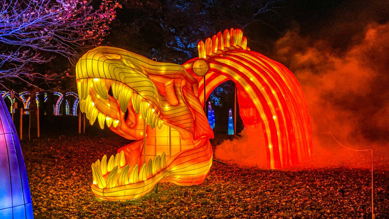 L’Odyssée Lumineuse au Parc Floral 2024 nous plonge dans les contes et dinosaures cette année !