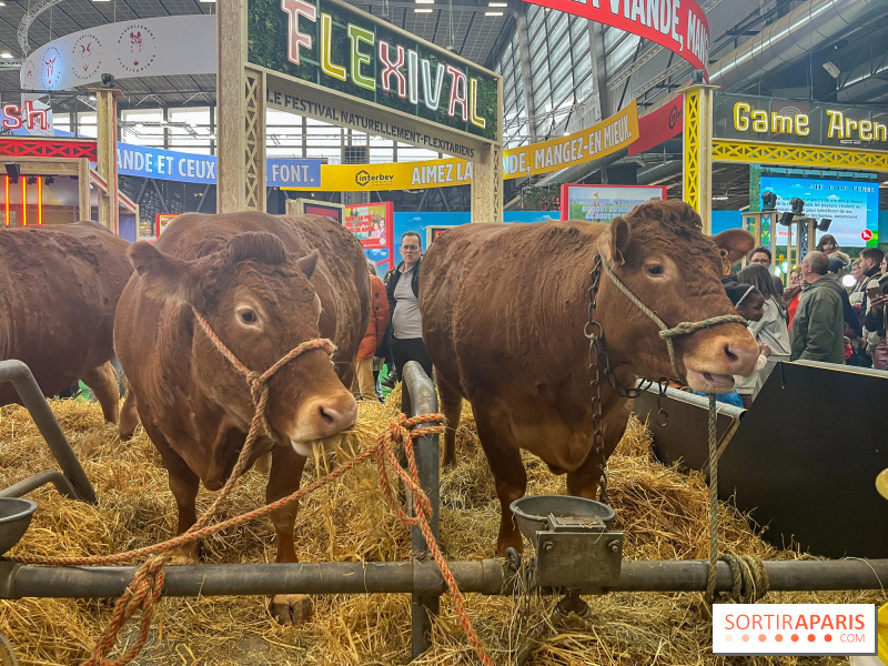 Salon de l’Agriculture 2025 à Paris : dates et programme de la 61e édition