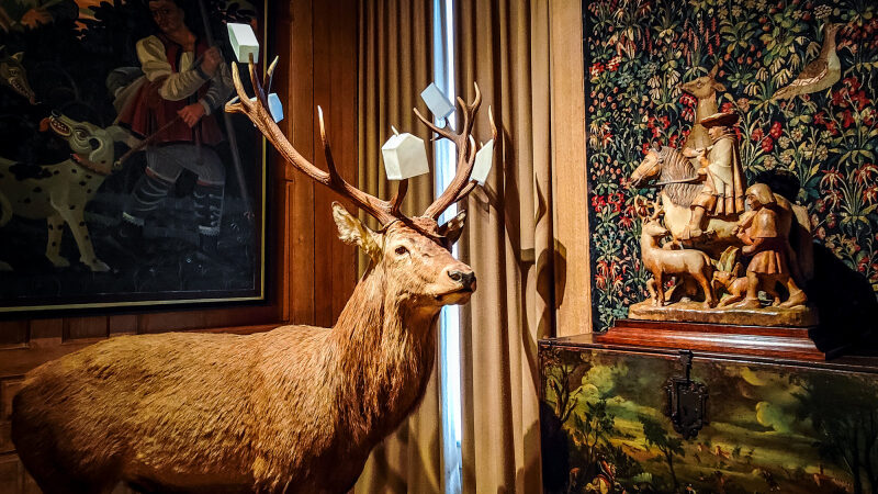 Le Musée de la Chasse et de la Nature à Paris : une exploration de la relation Homme-Animal