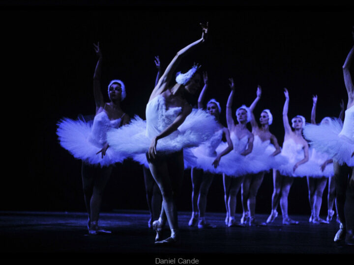 Le Lac des Cygnes de l’International Festival Ballet au Casino de Paris en février 2025