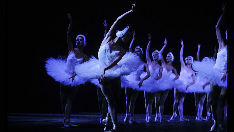 Le Lac des Cygnes de l’International Festival Ballet au Casino de Paris en février 2025