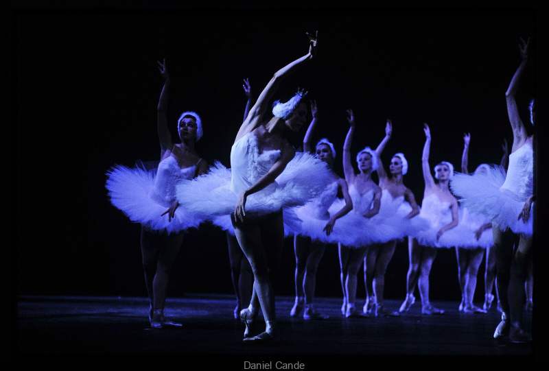 Le Lac des Cygnes de l’International Festival Ballet au Casino de Paris en février 2025