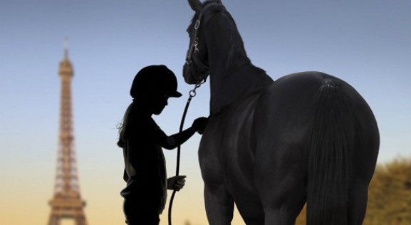 Le Salon du Cheval de Paris 2024 : l’événement équestre incontournable du week-end